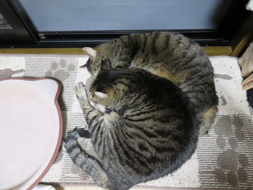夜窓辺の2ショット