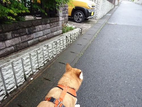 ただいま〜
