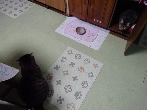 朝ご飯待ち