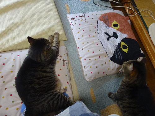 お母ちゃんの足元