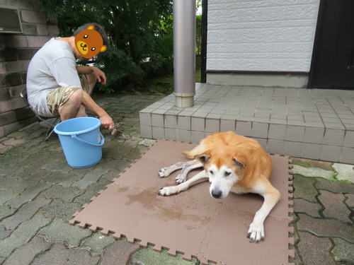 約6時間お付き合い