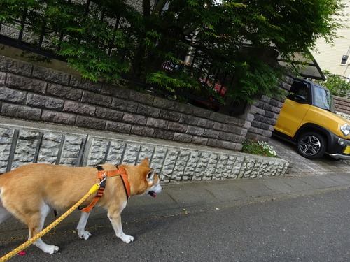 家の近くになって