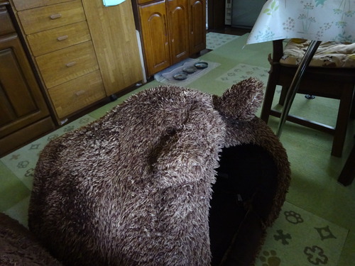 モゾモゾ動いています