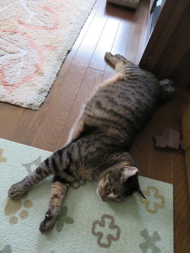 たくみは2階