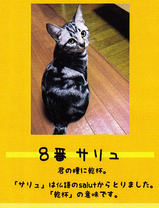 8番 サリュ