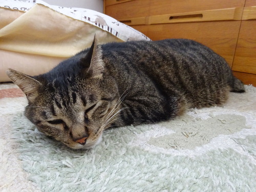 2階で