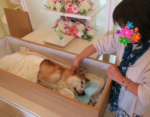 ありがとうね