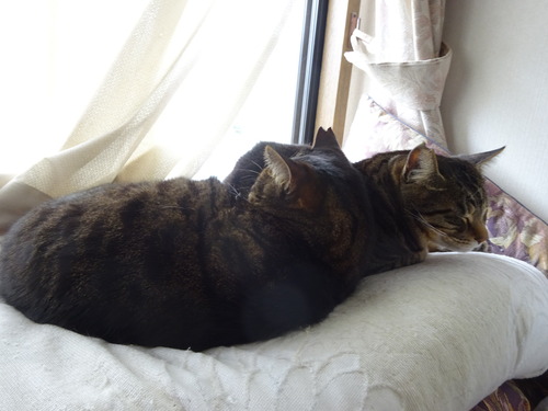 なな&たく