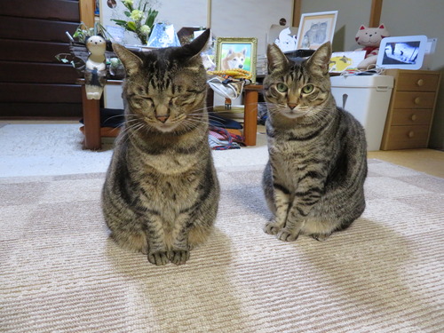 並んで