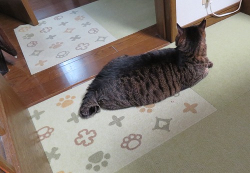 たくみも