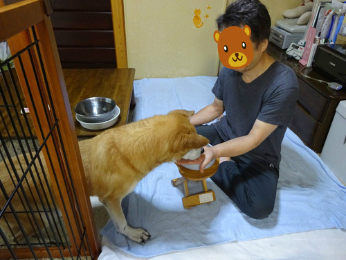 療養食は