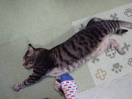 伸び〜ん