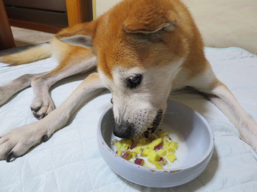 さつま芋