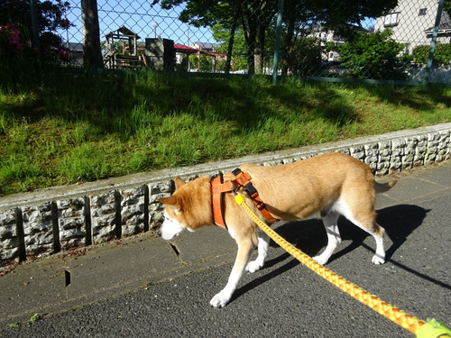 トボトボ