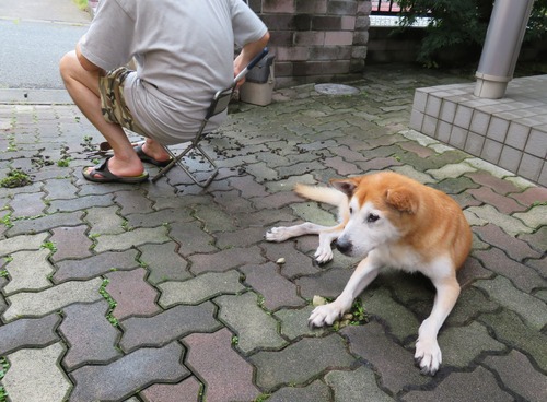 早朝から