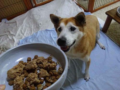 キラキラ
