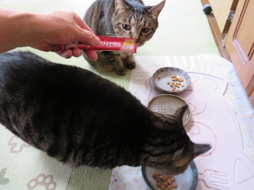 別味