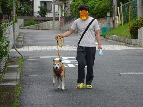 スッキリ