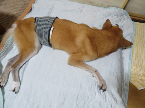 エアコンに効く部屋で