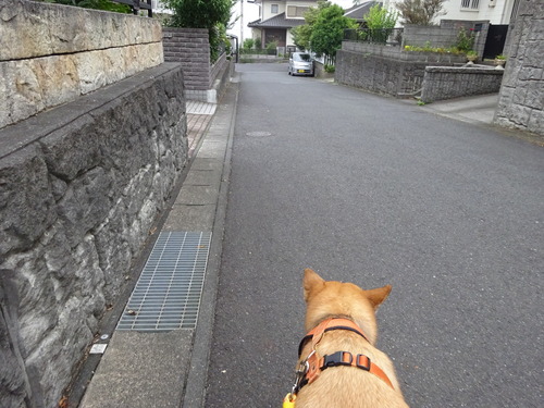 歩いて