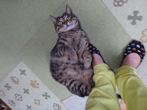 嬉しいな