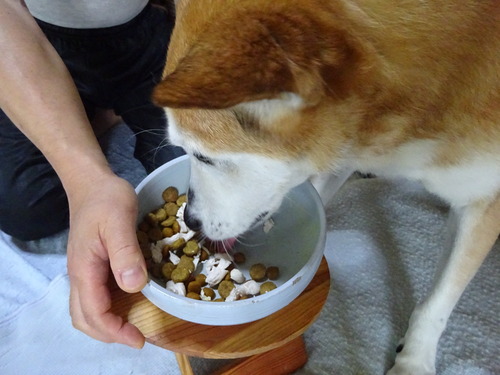 鶏ささみのトッピング