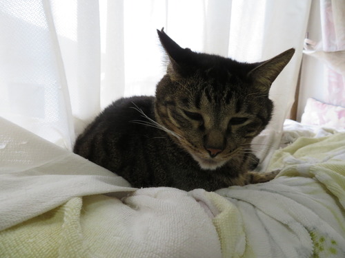 たくみは2階