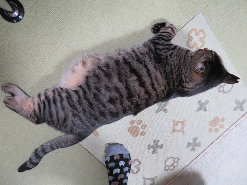 待ってるポーズ