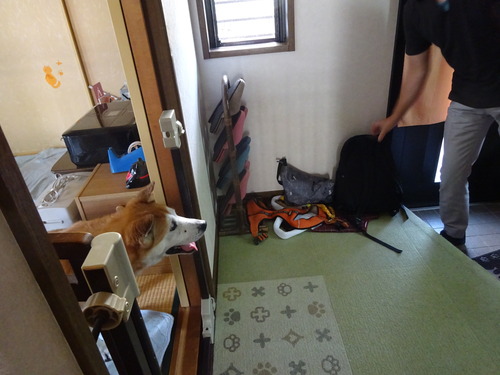ここからお見送り?