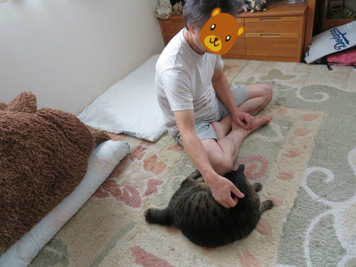なでなで