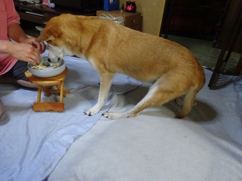 トッピングして