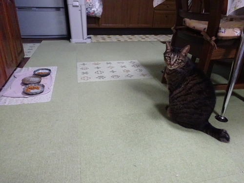 ぼくにも