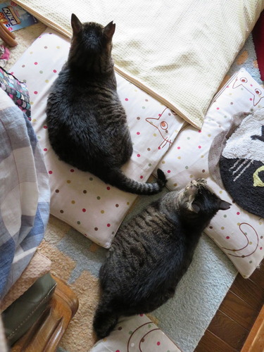 足元で