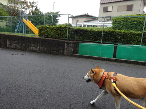 自ら歩いて