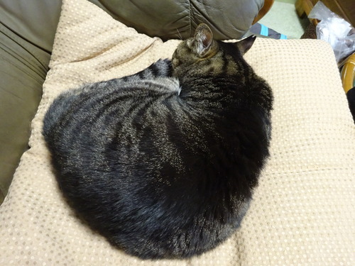 お気に入り位置