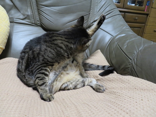 お母ちゃんの横で