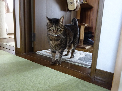 起こしに