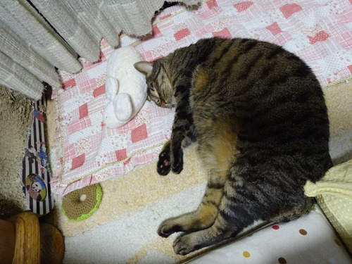 満足寝