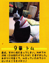 9番 トム