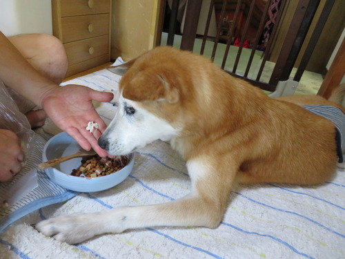 ほぼ完食