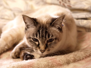 2009,7,12ウメちゃん