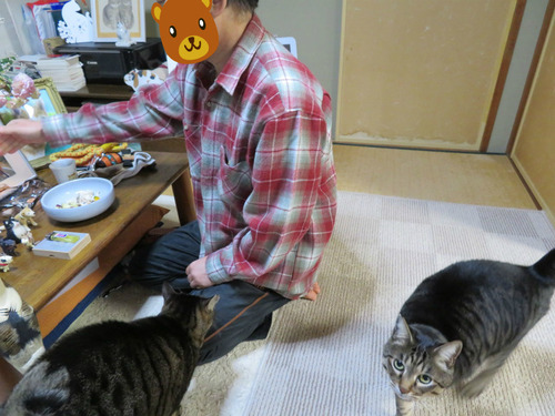 みんなで挨拶