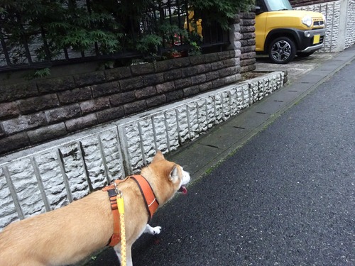 ただいま〜