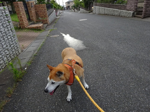 家出てすぐ