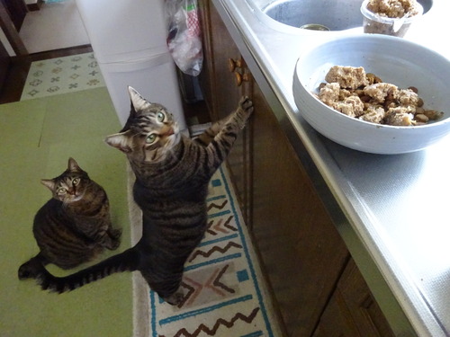 食べたい