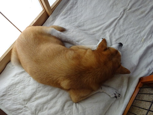 窓辺で