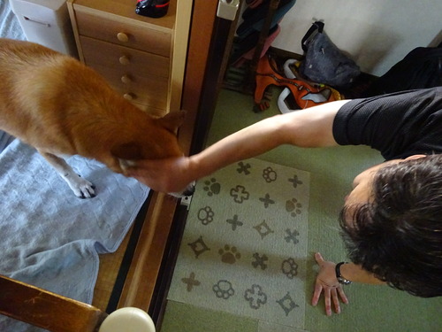 お父ちゃんから傍に