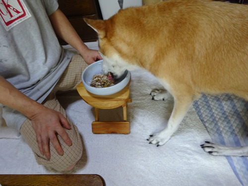ウマウマ