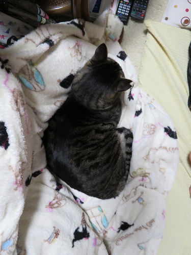 ななみはお母ちゃんの膝の間に