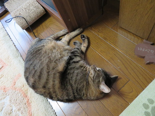 たくみは